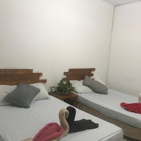 Guacamundo Beach Hostel 5Th. Ave 普拉亚卡门 外观 照片