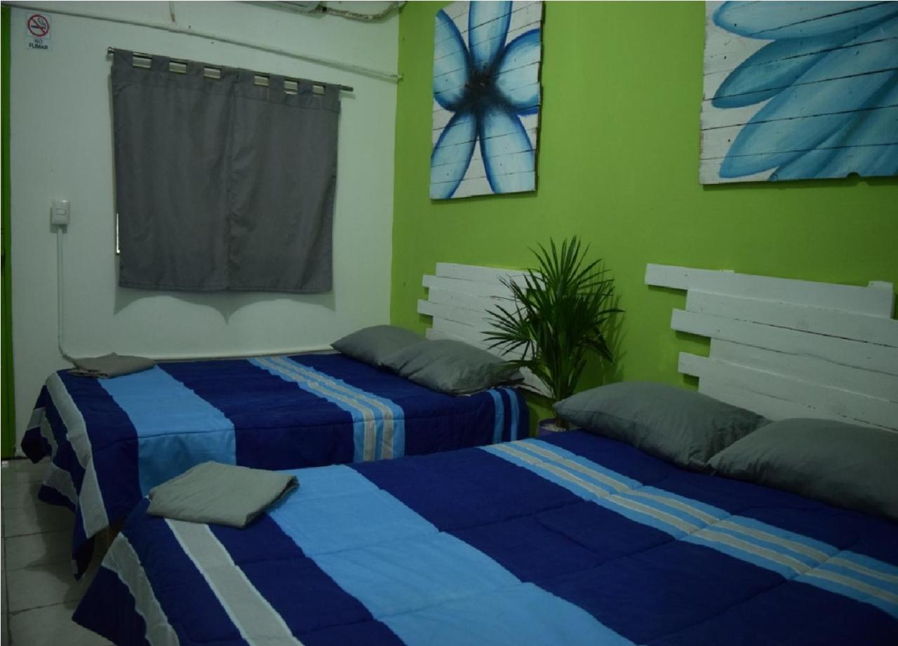 Guacamundo Beach Hostel 5Th. Ave 普拉亚卡门 外观 照片