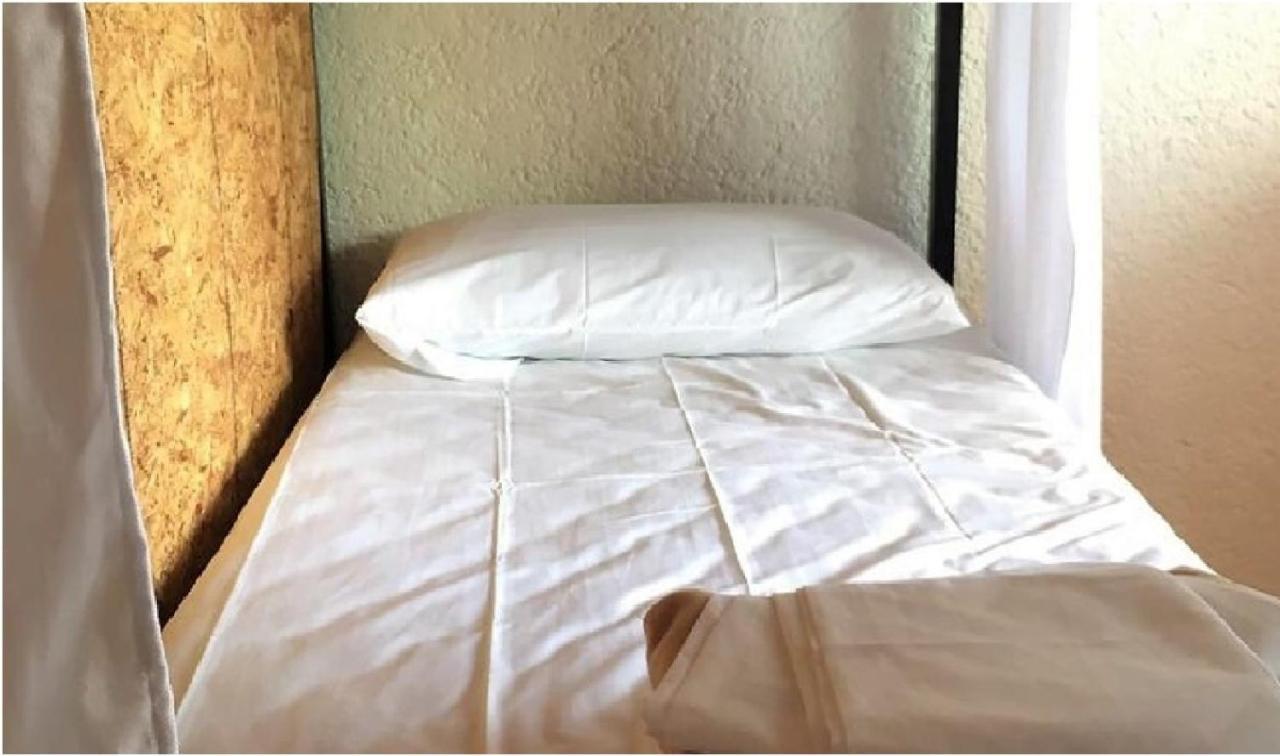 Guacamundo Beach Hostel 5Th. Ave 普拉亚卡门 外观 照片