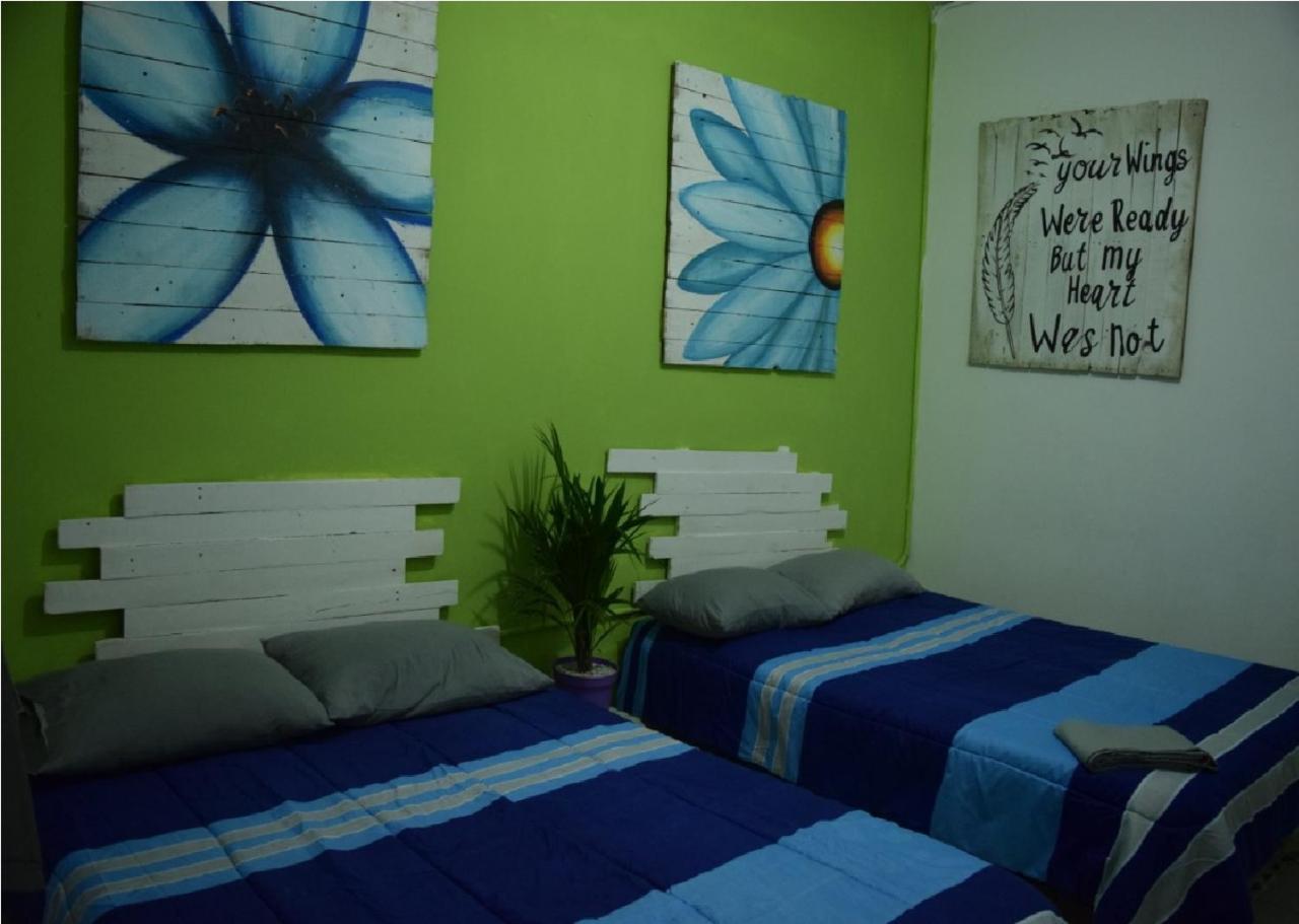 Guacamundo Beach Hostel 5Th. Ave 普拉亚卡门 外观 照片