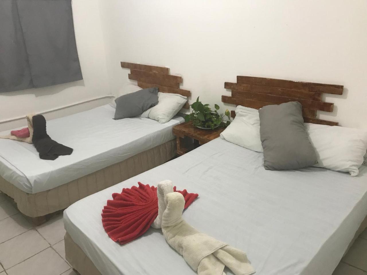 Guacamundo Beach Hostel 5Th. Ave 普拉亚卡门 外观 照片