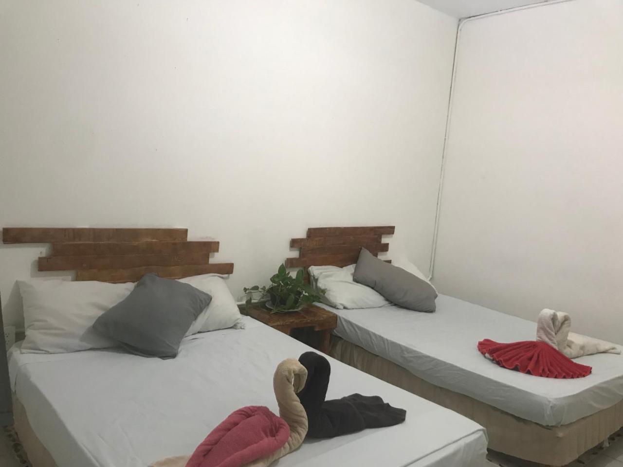 Guacamundo Beach Hostel 5Th. Ave 普拉亚卡门 外观 照片