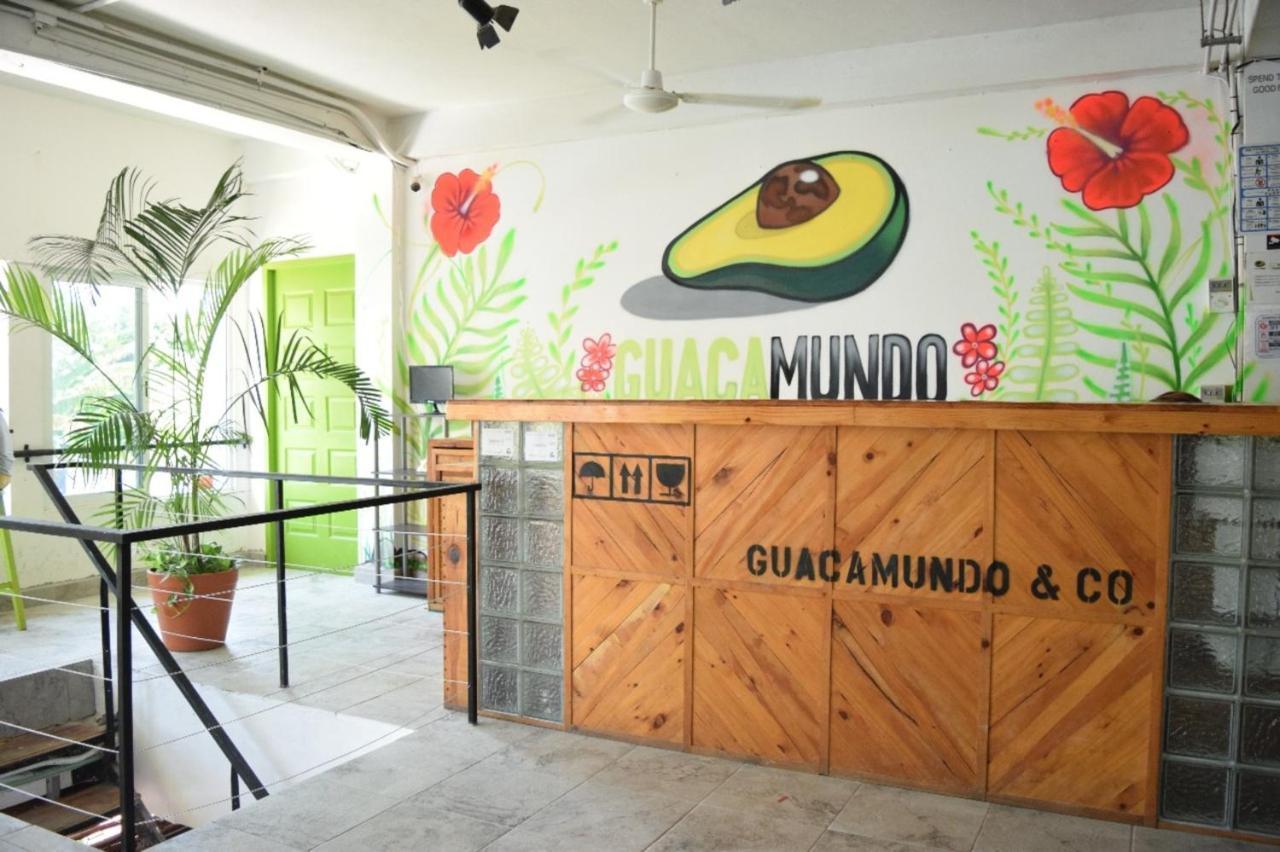 Guacamundo Beach Hostel 5Th. Ave 普拉亚卡门 外观 照片