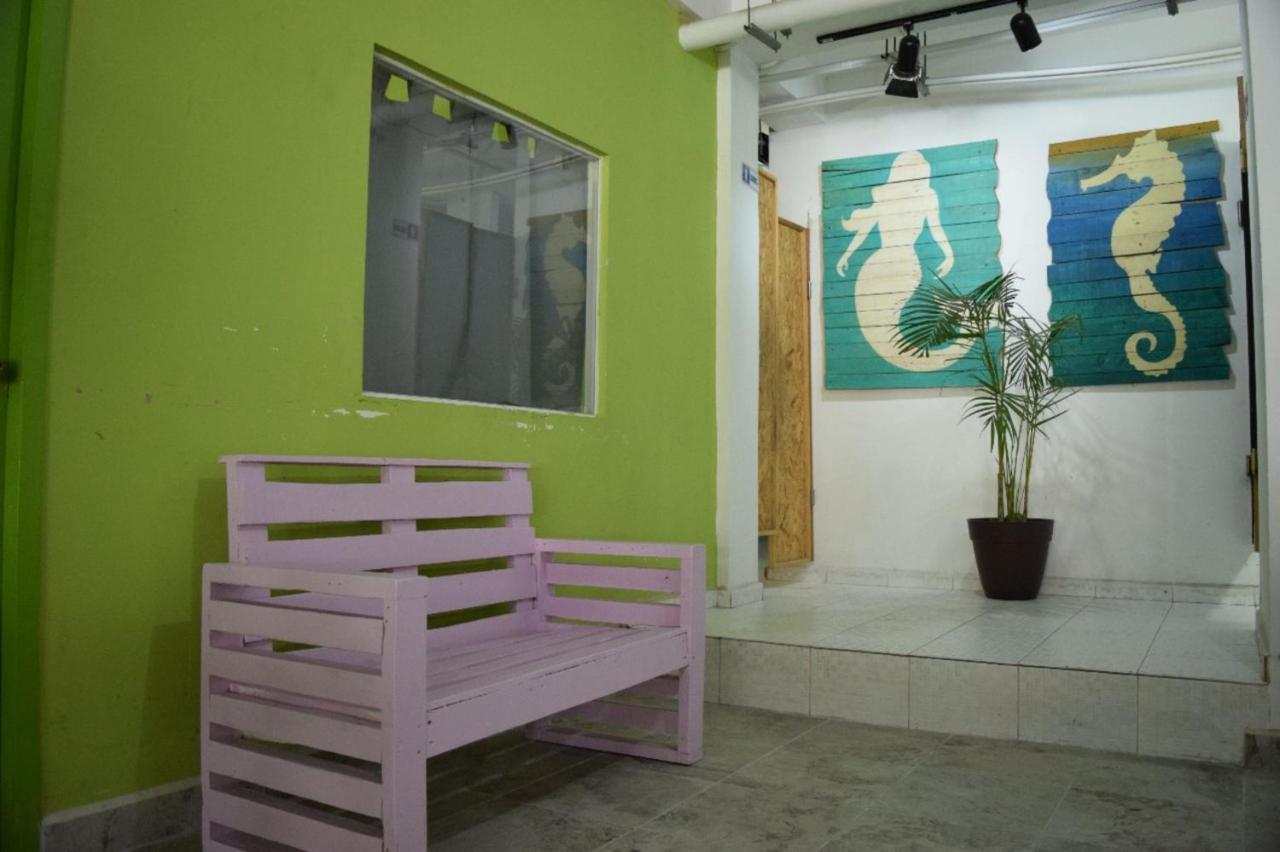 Guacamundo Beach Hostel 5Th. Ave 普拉亚卡门 外观 照片