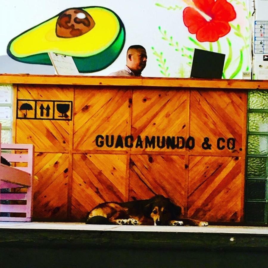 Guacamundo Beach Hostel 5Th. Ave 普拉亚卡门 外观 照片