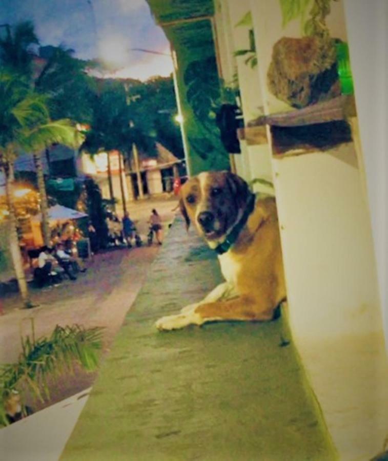 Guacamundo Beach Hostel 5Th. Ave 普拉亚卡门 外观 照片
