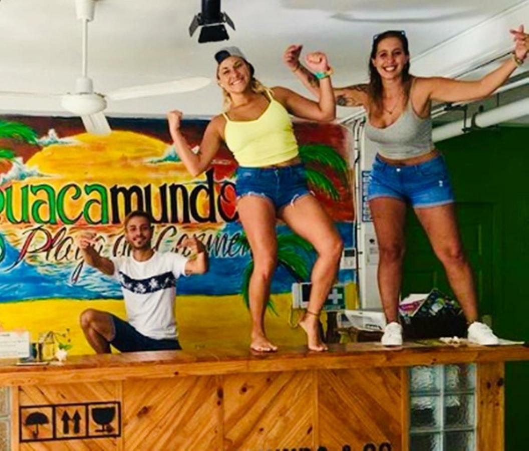 Guacamundo Beach Hostel 5Th. Ave 普拉亚卡门 外观 照片